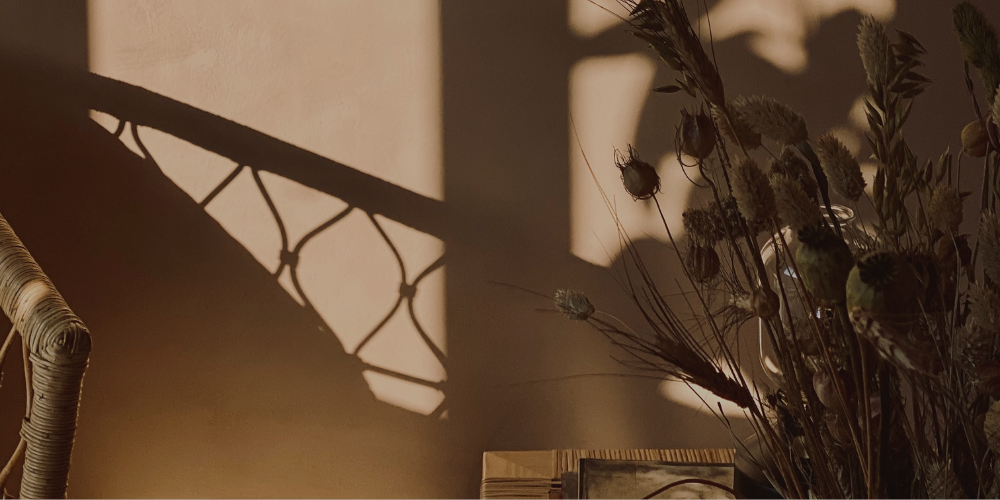 Sacred Stories | Elisabeth's Story From Disconnection to Devotion: A Journey Back to Living Well