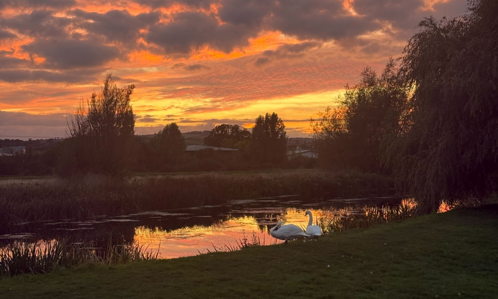Sacred Steps | October with HOLY CACAO