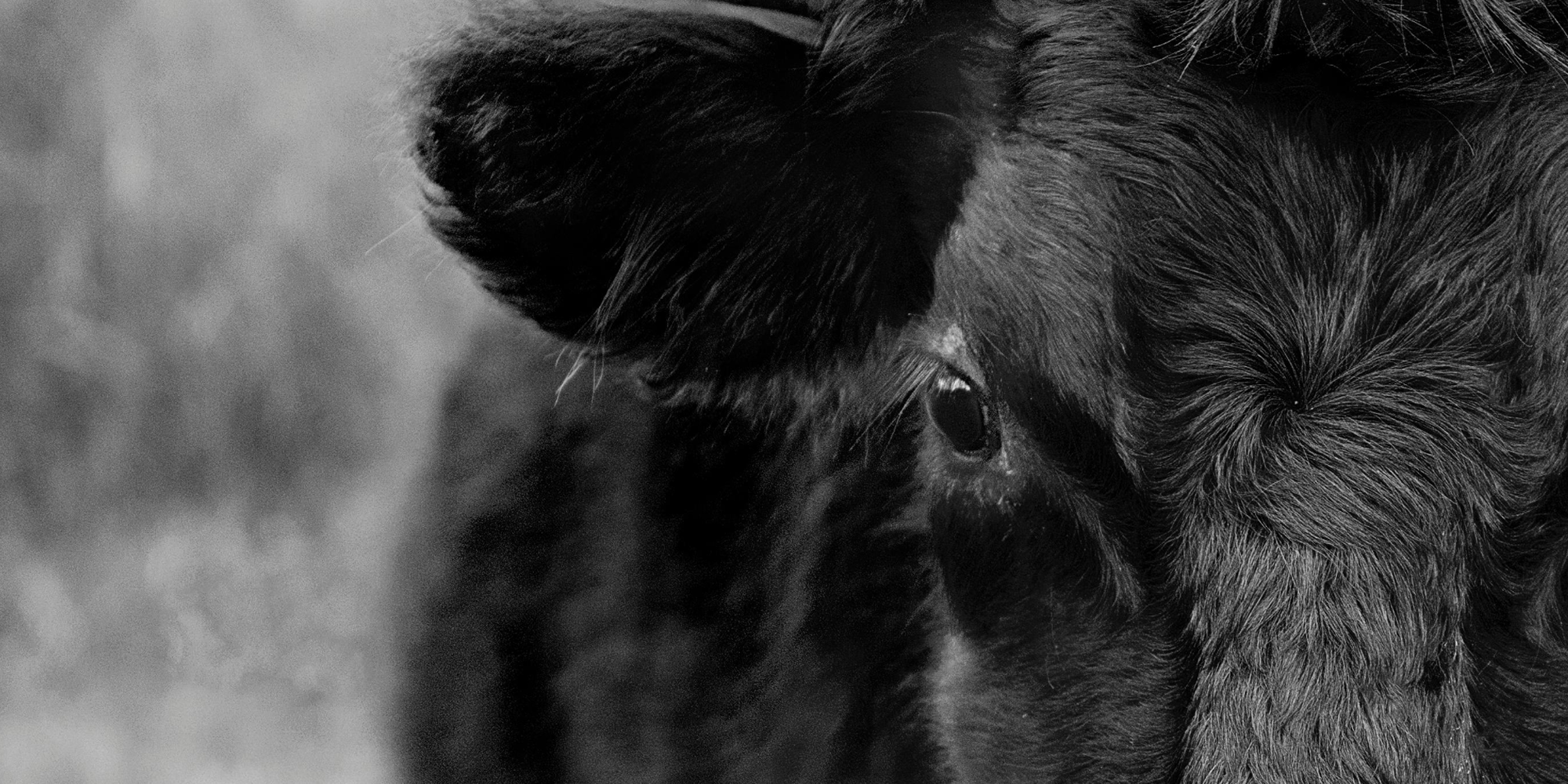 Why Everyone’s Talking About Bone Broth: 5 Benefits Backed by Science