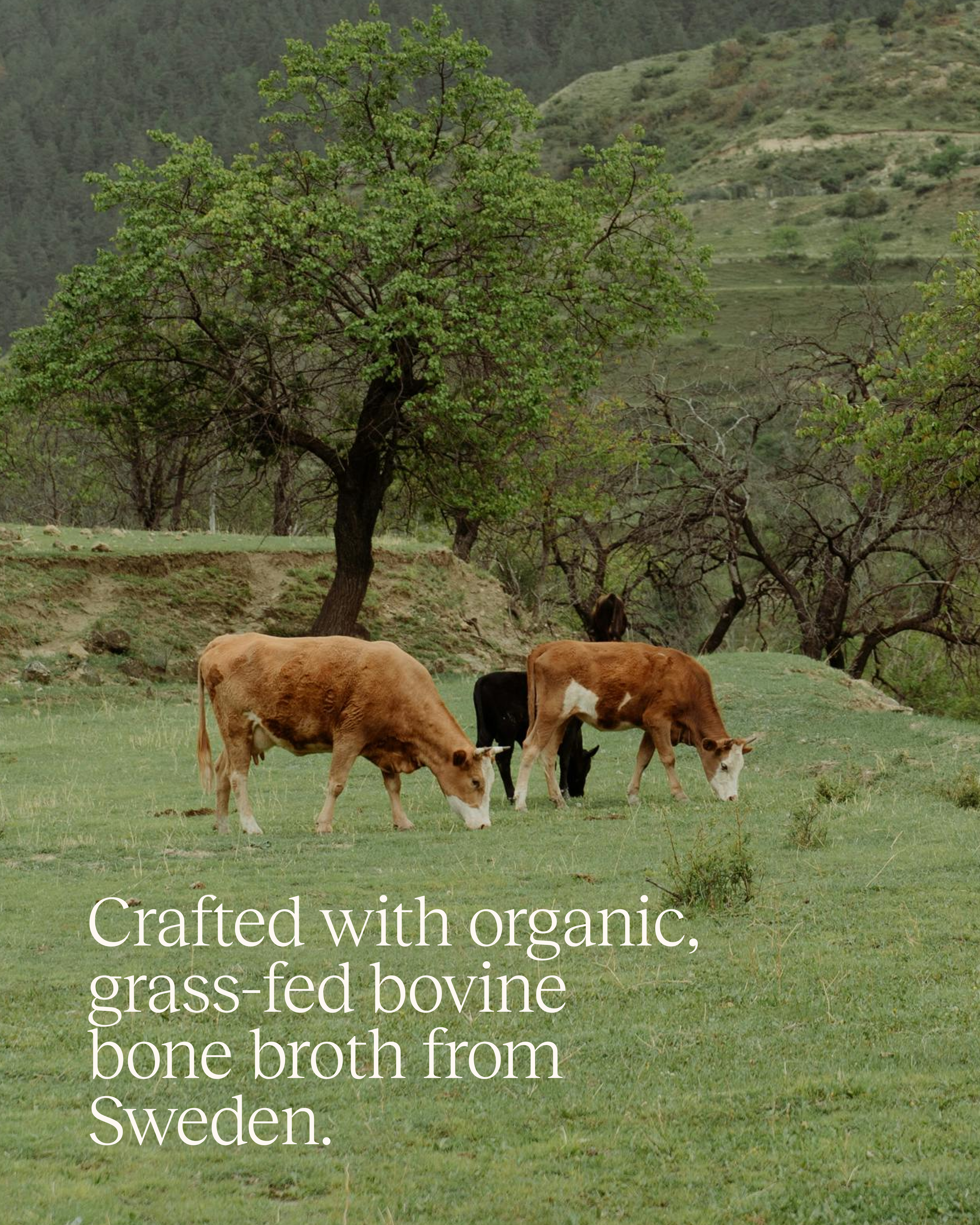 Nourish Blend